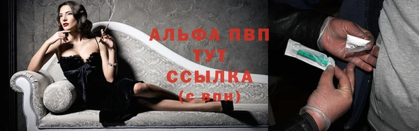 спиды Горняк