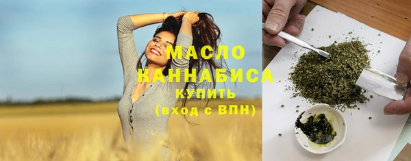 спиды Горняк