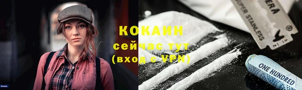тгк Горно-Алтайск