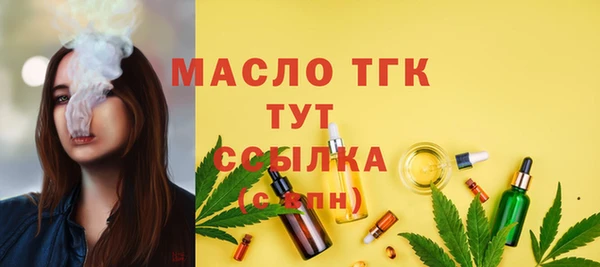 спиды Горняк