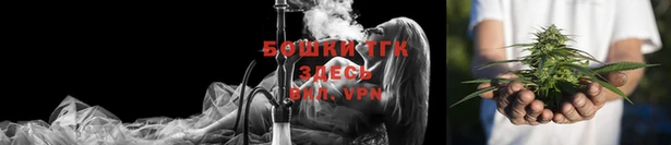 спиды Горняк