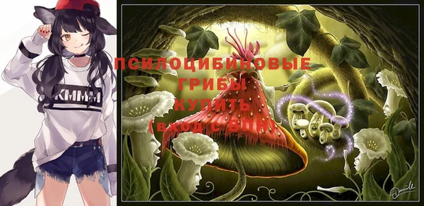 спиды Горняк