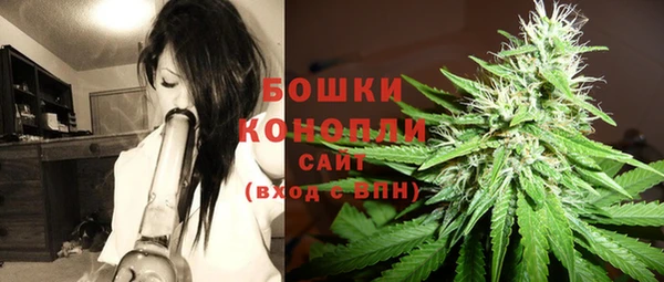 спиды Горняк