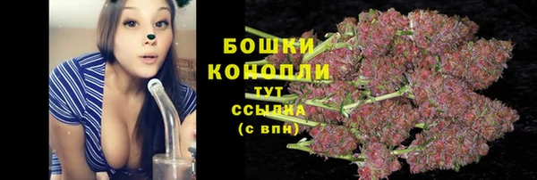 тгк Горно-Алтайск