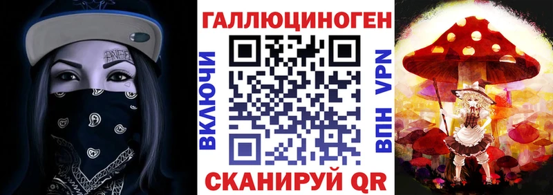 Галлюциногенные грибы Psilocybe где купить Темников