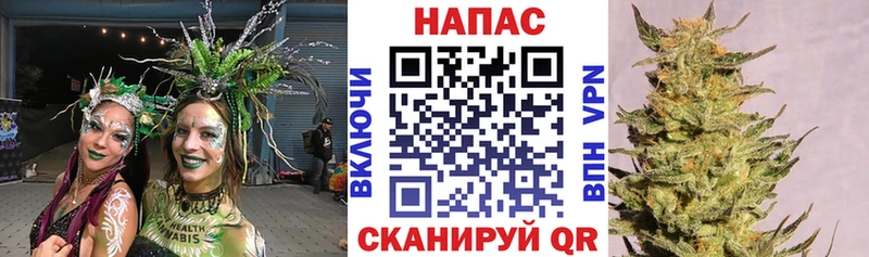 Марихуана White Widow  Темников 
